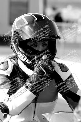 media/Feb-23-2024-2WTD (Fri) [[a719da276a]]/1-Around the Pits/